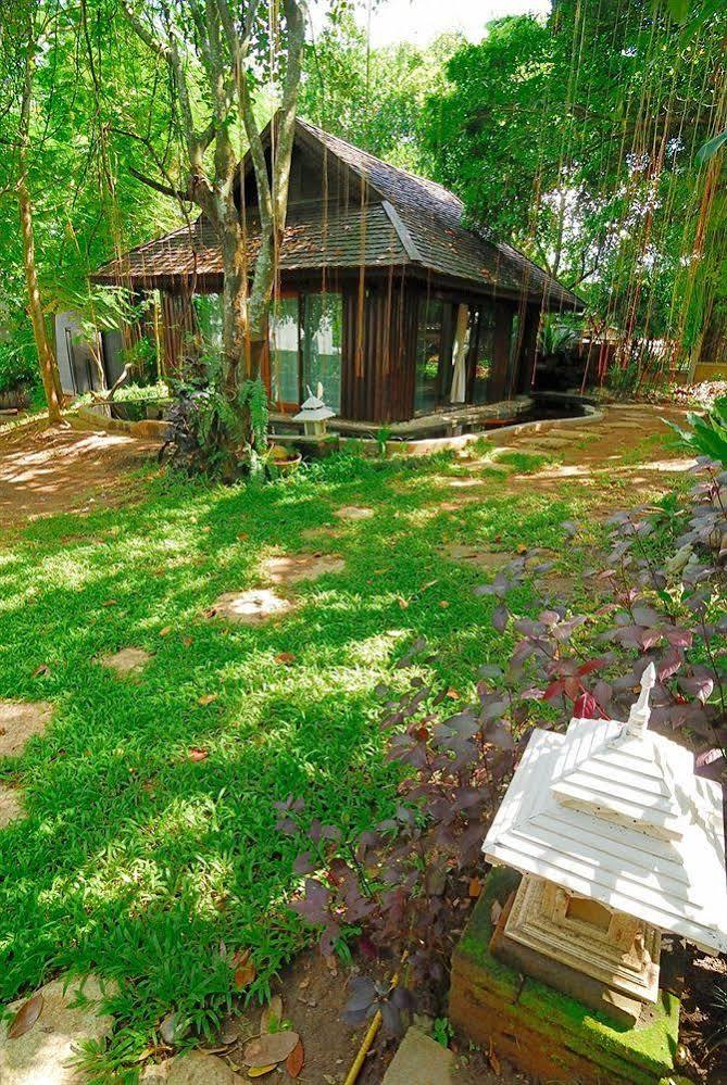 Viva Chiang Mai Nature Home Stay Exteriér fotografie